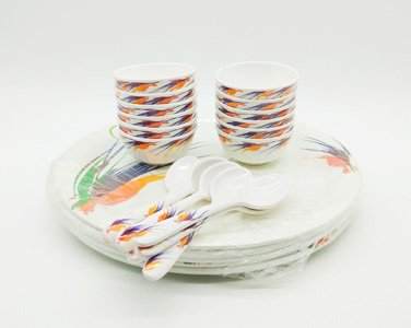 Elenentz 24 pcs buffet set